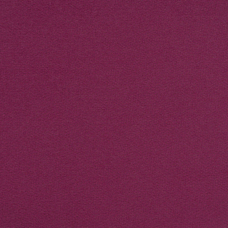 TSSI-2097 orchid